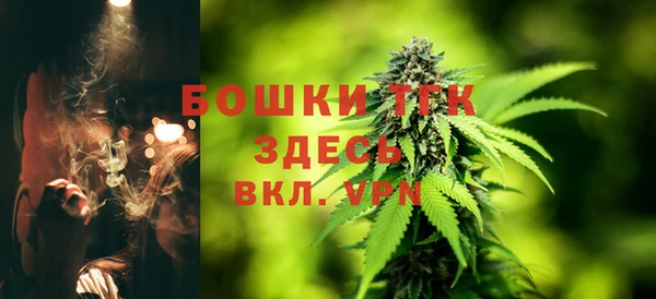 спиды Каменногорск