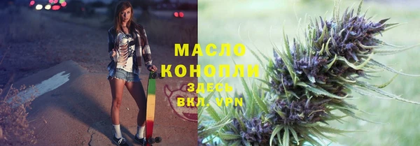 метадон Каменка