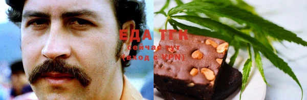 спиды Каменногорск
