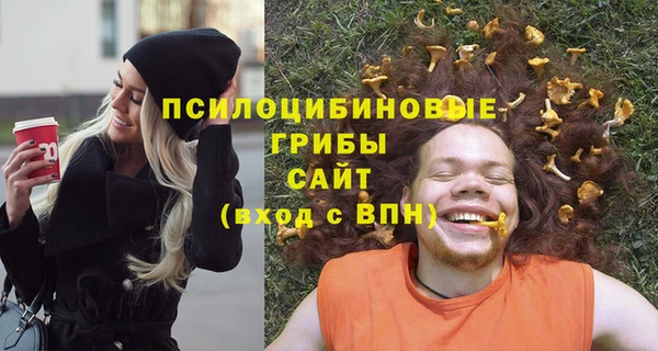 метадон Каменка