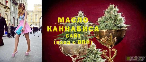 метадон Каменка