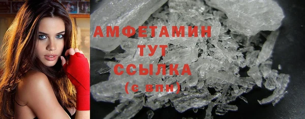 спиды Каменногорск