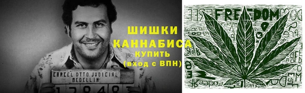 метадон Каменка